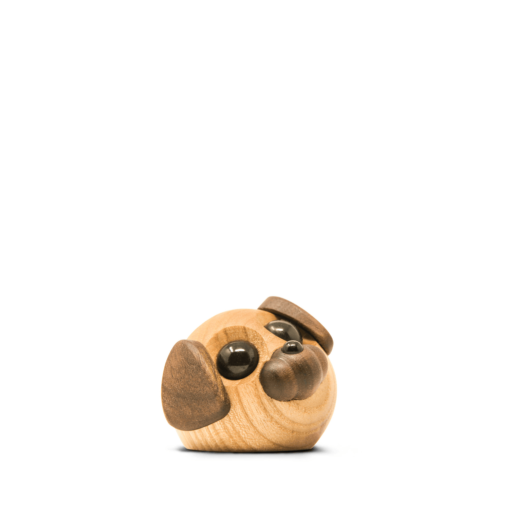 Molly - the little dog