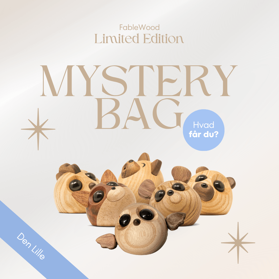 Limited Edition Mystery Bag (S)