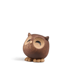 Sofia - the little Owl